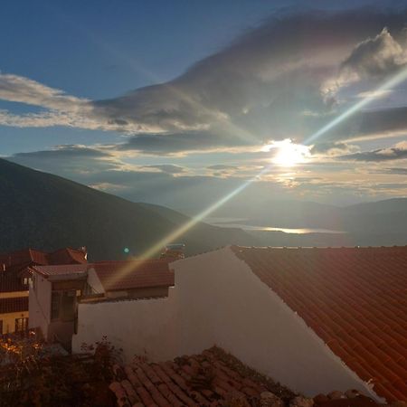 Tholos Hotel Delphi Dış mekan fotoğraf